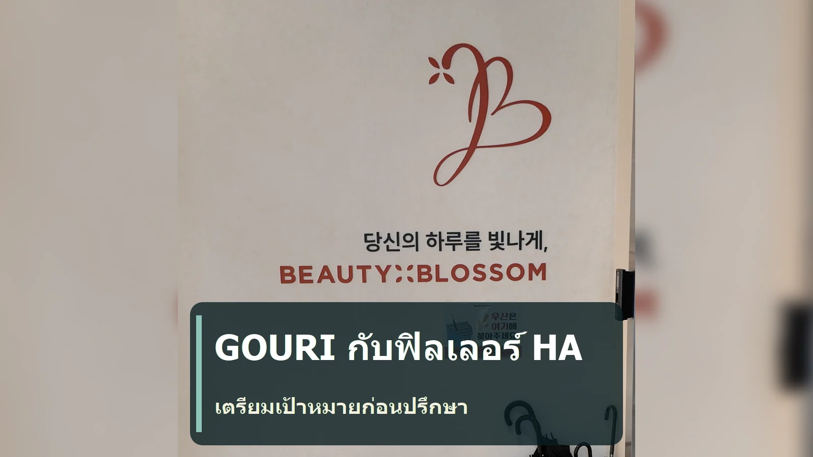 GOURI กับฟิลเลอร์ HA ต่างกันอย่างไร? เตรียมเป้าหมายก่อนปรึกษา