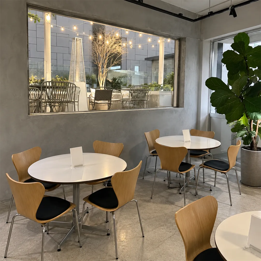 Wide room with grey walls, round white tables, wooden chairs and a large plant